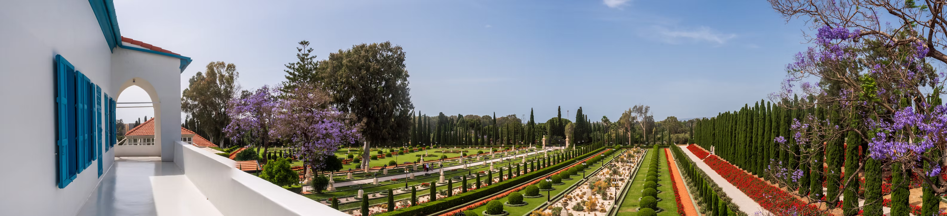 Una vista panorámica de los jardines Bahá'ís — terrazas formales, avenidas de cipreses y jacarandás en flor extendiéndose hacia el horizonte.